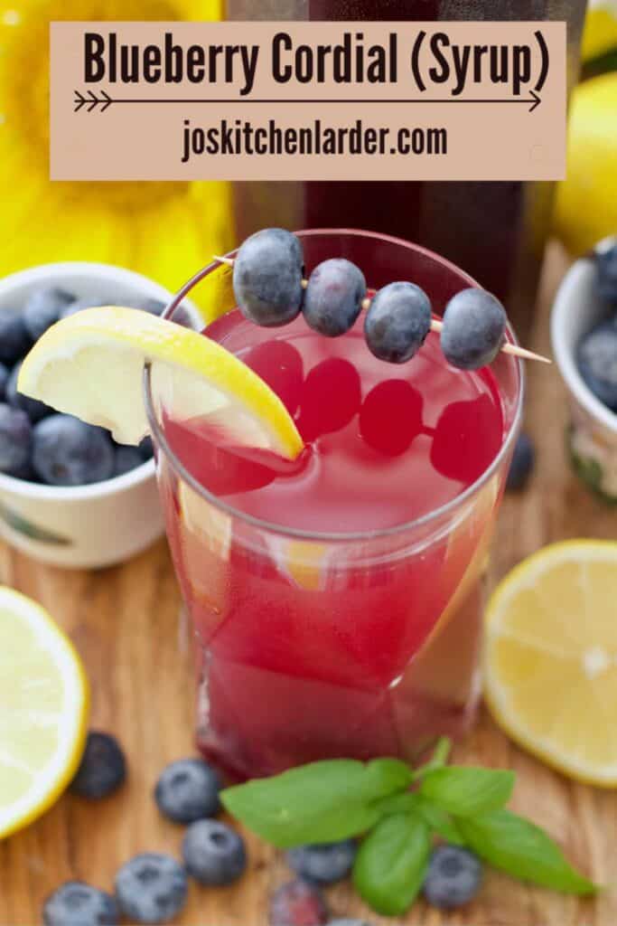 Diluted blueberry cordial in a glass with blueberries on a stick and a slice of lemon.