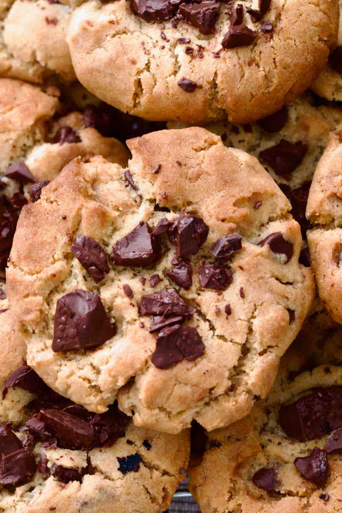 Chocolate chip cookie with chocolate chunks on top.