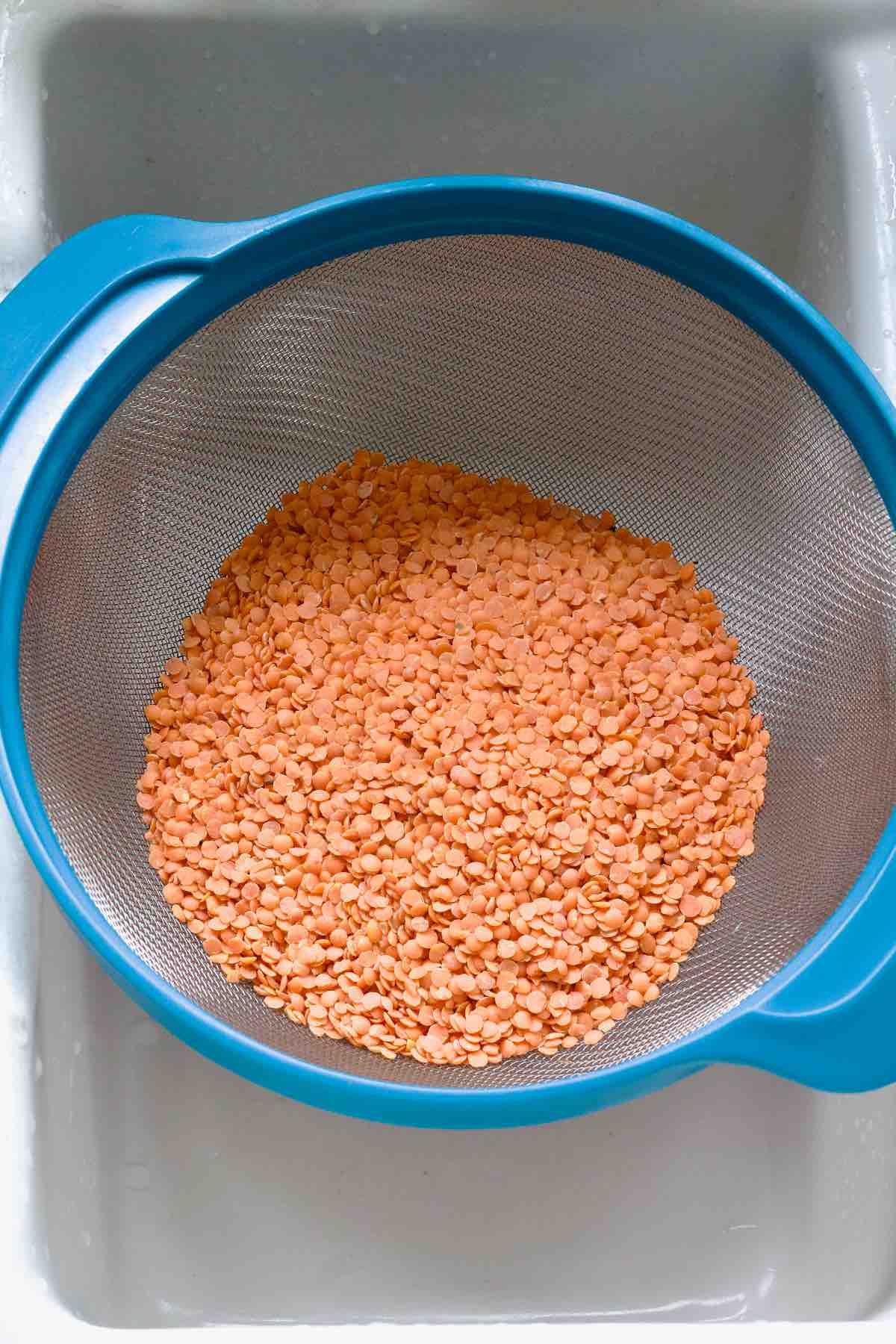 Red lentils in a sieve.